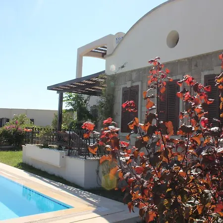 Important Group | Bd411 4 Bedroom Pool فيلة بودروم